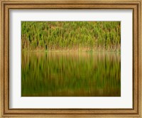 Conifer Forest Reflects In Kintla Lake, Montana Fine Art Print