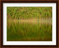 Conifer Forest Reflects In Kintla Lake, Montana Fine Art Print