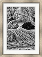 Unusual Erosion Formations In Makoshika State Park (BW) Fine Art Print