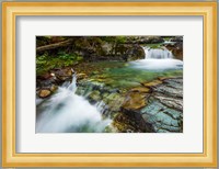 Cascade On Baring Creek, Glacier National Park, Montana Fine Art Print