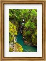 Avalanche Creek, Glacier National Park, Montana Fine Art Print