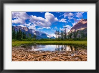 Driftwood And Pond, Saint Mary Lake, Glacier National Park, Montana Fine Art Print