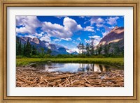 Driftwood And Pond, Saint Mary Lake, Glacier National Park, Montana Fine Art Print