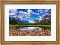 Driftwood And Pond, Saint Mary Lake, Glacier National Park, Montana Fine Art Print