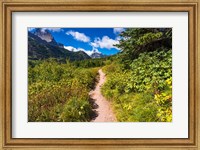 Iceberg Lake Trail, Glacier National Park, Montana Fine Art Print