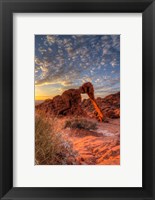 Elephant Rock, Valley Of Fire State Park, Nevada Fine Art Print