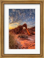 Elephant Rock, Valley Of Fire State Park, Nevada Fine Art Print