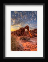 Elephant Rock, Valley Of Fire State Park, Nevada Fine Art Print
