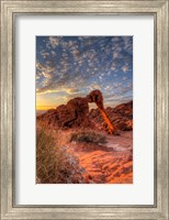 Elephant Rock, Valley Of Fire State Park, Nevada Fine Art Print