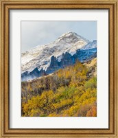 Foggy Mountain In Humboldt National Forest, Nevada Fine Art Print