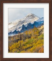 Foggy Mountain In Humboldt National Forest, Nevada Fine Art Print