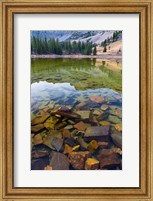 Stella Lake, Great Basin National Park, Nevada Fine Art Print