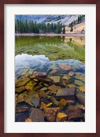 Stella Lake, Great Basin National Park, Nevada Fine Art Print