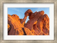 Fire State Park's Elephant Rock, Nevada Fine Art Print