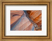 Designs Of A Small Canyon On The White Dome Trail Fine Art Print