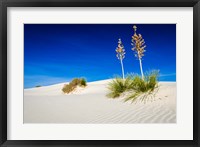 Soaptree Yucca And Dunes, White Sands National Monument, New Mexico Fine Art Print