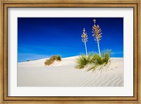 Soaptree Yucca And Dunes, White Sands National Monument, New Mexico Fine Art Print