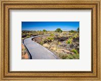 Malpais Nature Trail, New Mexico Fine Art Print