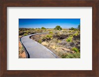 Malpais Nature Trail, New Mexico Fine Art Print