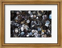 Pile Of Old Buttons Fine Art Print