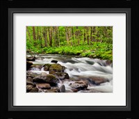 Water Flows At Straight Fork, North Carolina Fine Art Print