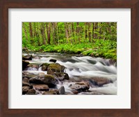 Water Flows At Straight Fork, North Carolina Fine Art Print