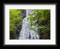 Mingo Falls, North Carolina Fine Art Print