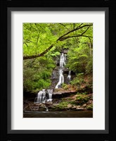 Tom Branch Falls, North Carolina Fine Art Print