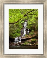 Tom Branch Falls, North Carolina Fine Art Print