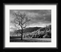 Storm Clearing At Dawn In Cataloochee Valley, North Carolina (BW) Fine Art Print