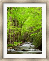 Straight Fork River, North Carolina Fine Art Print