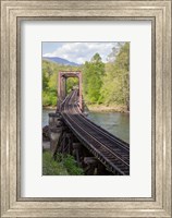 Abandoned Railroad Trestle, North Carolina Fine Art Print