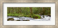 Panoramic Of Straight Fork Creek In Spring, North Carolina Fine Art Print
