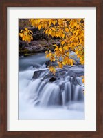 Rogue River Waterfalls In Autumn, Oregon Fine Art Print