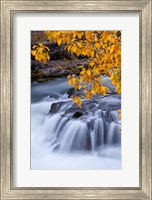 Rogue River Waterfalls In Autumn, Oregon Fine Art Print