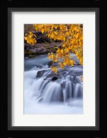 Rogue River Waterfalls In Autumn, Oregon Fine Art Print