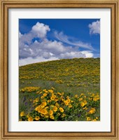 Rowena Plateau Landscape, Oregon Fine Art Print