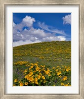 Rowena Plateau Landscape, Oregon Fine Art Print
