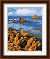 Rocky Coastline Of Oregon Fine Art Print
