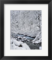 Snow On Boulder Creek, Oregon Fine Art Print