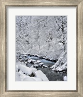 Snow On Boulder Creek, Oregon Fine Art Print