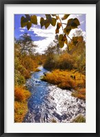 Scenic View Of Dieckman Creek, Oregon Fine Art Print