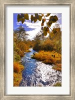 Scenic View Of Dieckman Creek, Oregon Fine Art Print
