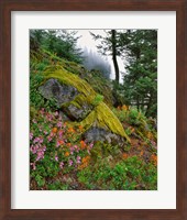 Scenic View Of Mt Hood National Forest, Oregon Fine Art Print