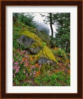 Scenic View Of Mt Hood National Forest, Oregon Fine Art Print