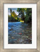 Sandy River Landscape, Oregon Fine Art Print