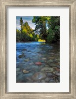 Sandy River Landscape, Oregon Fine Art Print
