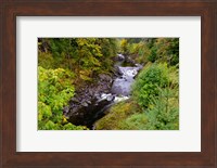 Wilson River Landscape, Oregon Fine Art Print