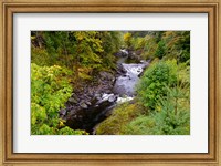 Wilson River Landscape, Oregon Fine Art Print