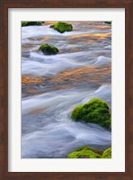 Mmoss-Covered Rocks In The Mckenzie River, Oregon Fine Art Print
